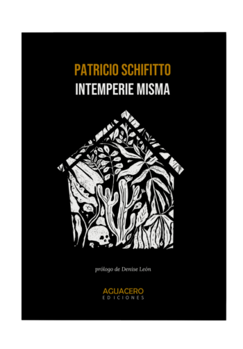 Intemperie misma, Patricio Schiffito (Aguacero Ediciones, 2023)