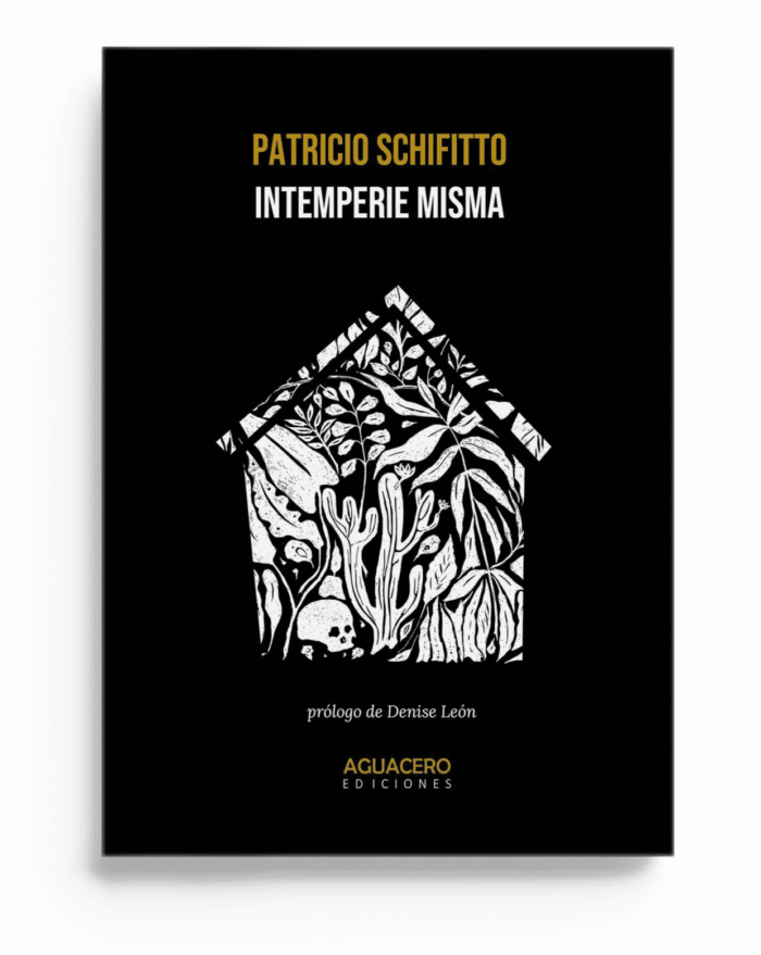 Intemperie misma. Primer libro del poeta tucumano Patricio Schiffito editado por Aguacero Ediciones