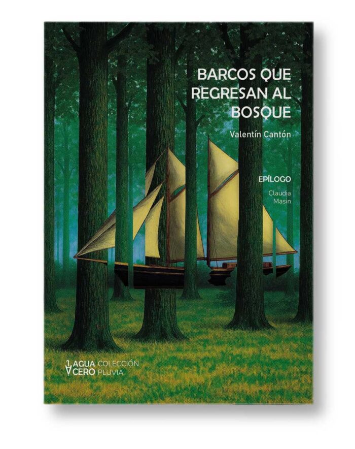 Comprar Barcos que regresan al bosque, del poeta tucumano Valentín Cantón (2005). Poeta joven tucumano