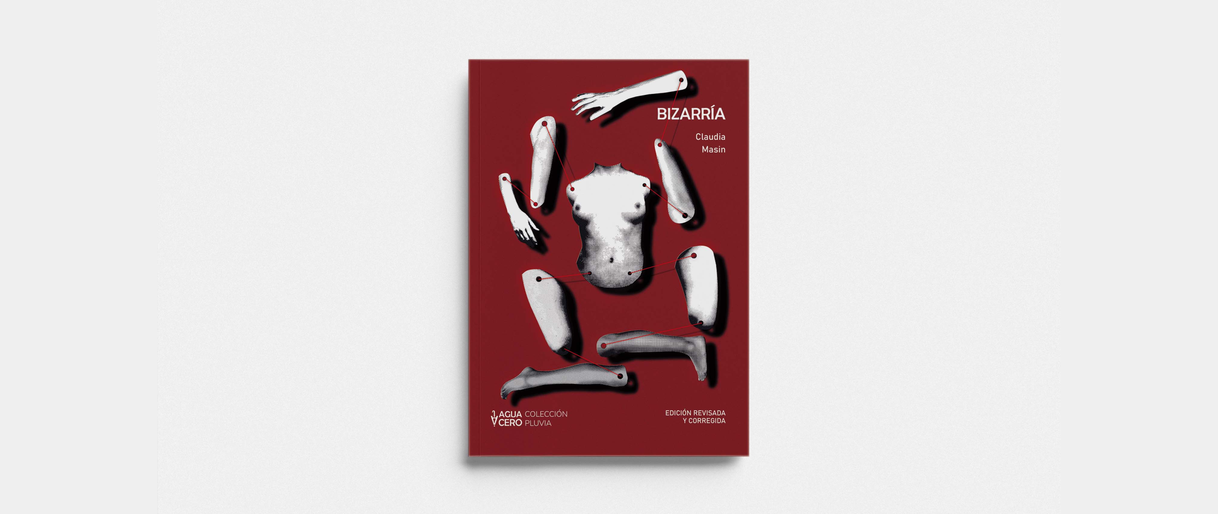 Bizarría, el libro oculto de Claudia Masin. Publicado por Aguacero Ediciones