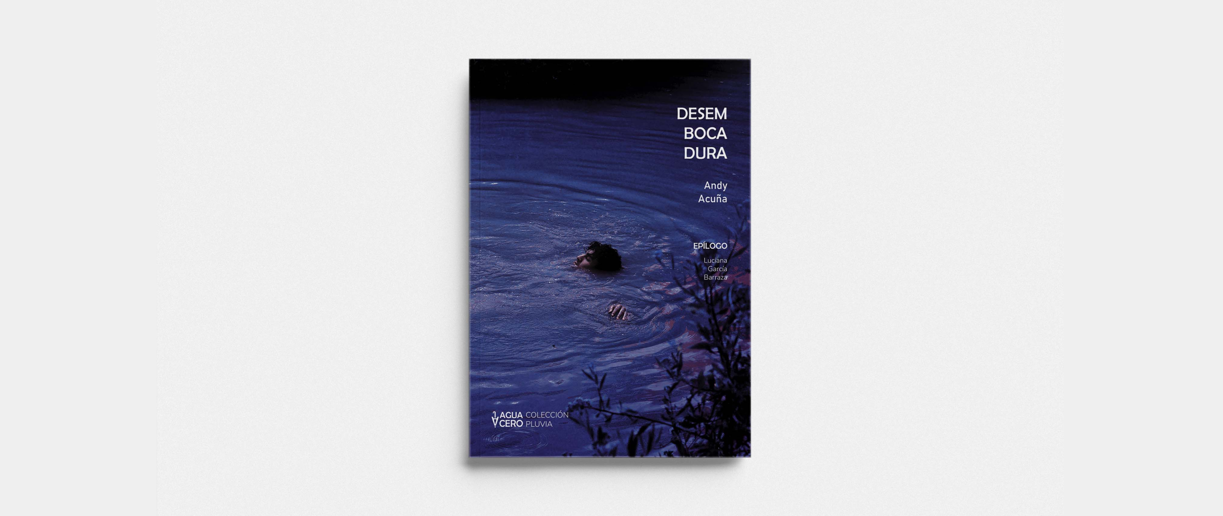 Portada de Desembocadura, libro de Andy Acuña (Santiago del Estero, 2000) publicado por Aguacero Ediciones