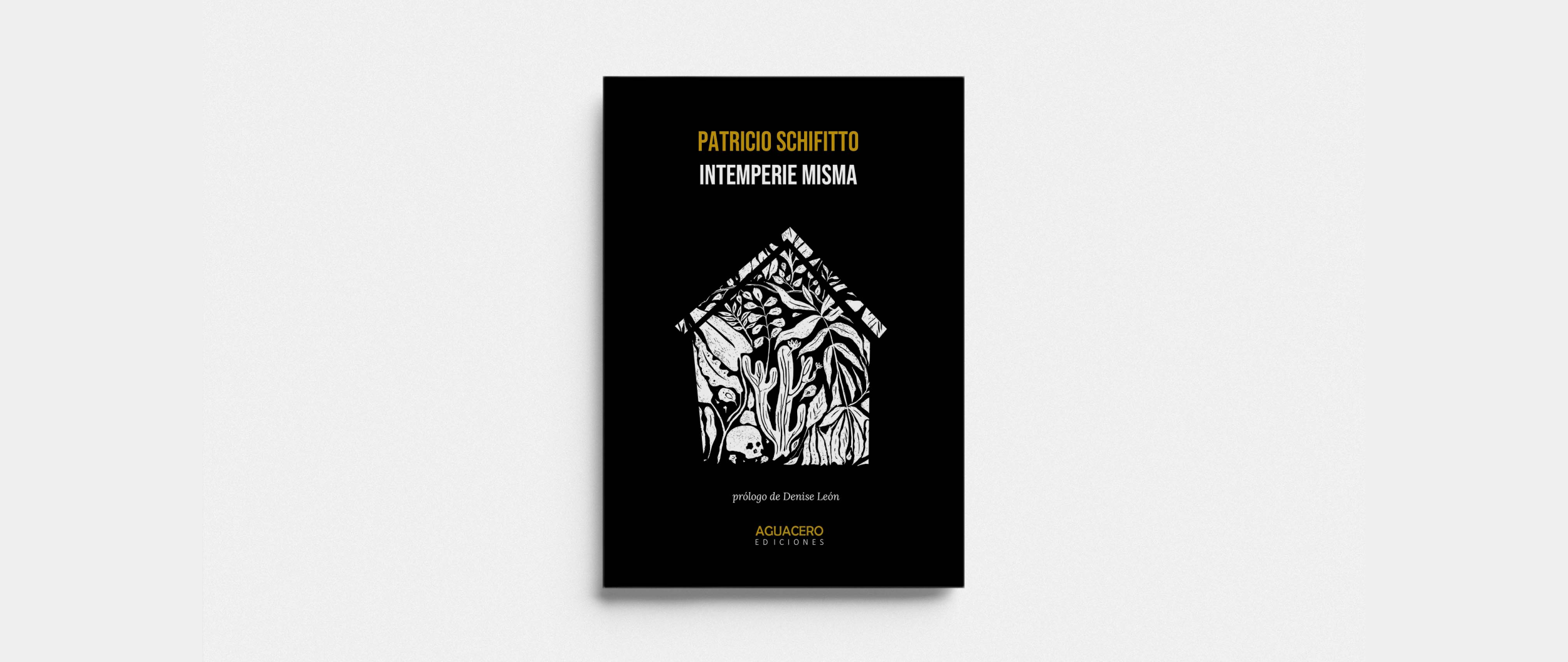 Intemperie misma, de Patricio Schifitto. Publicado por Aguacero Ediciones