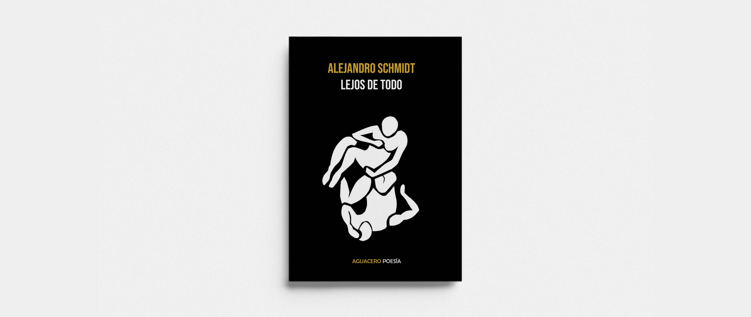 Lejos de todo, Alejandro Schmidt. Aguacero Ediciones.