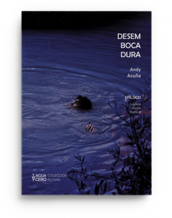 Desembocadura, de Andy Acuña (Quimilí, Santiago del Estero. 2000) publicado por Aguacero Ediciones